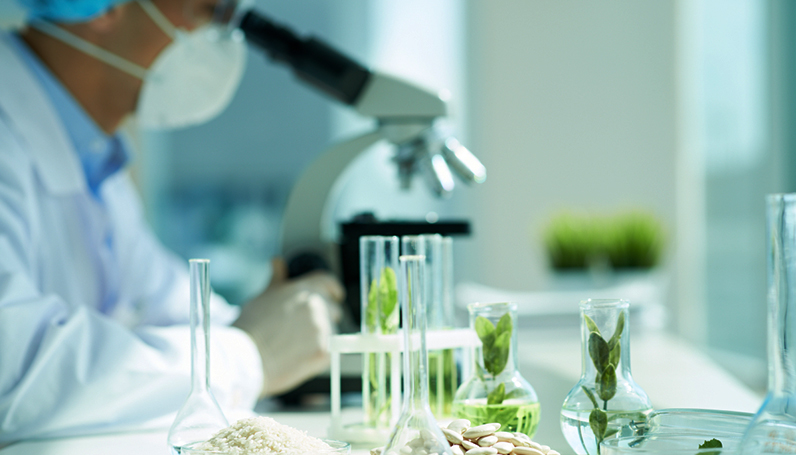 ��ɳ(8087-js��֤)�鳡��-Officialwebsite