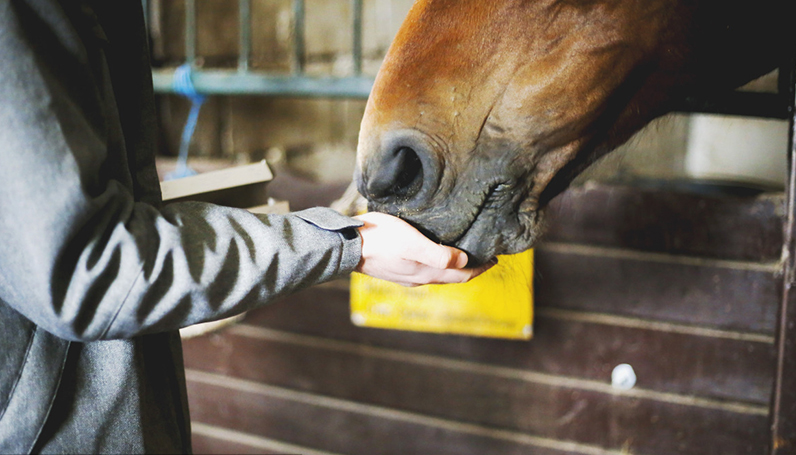 ��ɳ(8087-js��֤)�鳡��-Officialwebsite