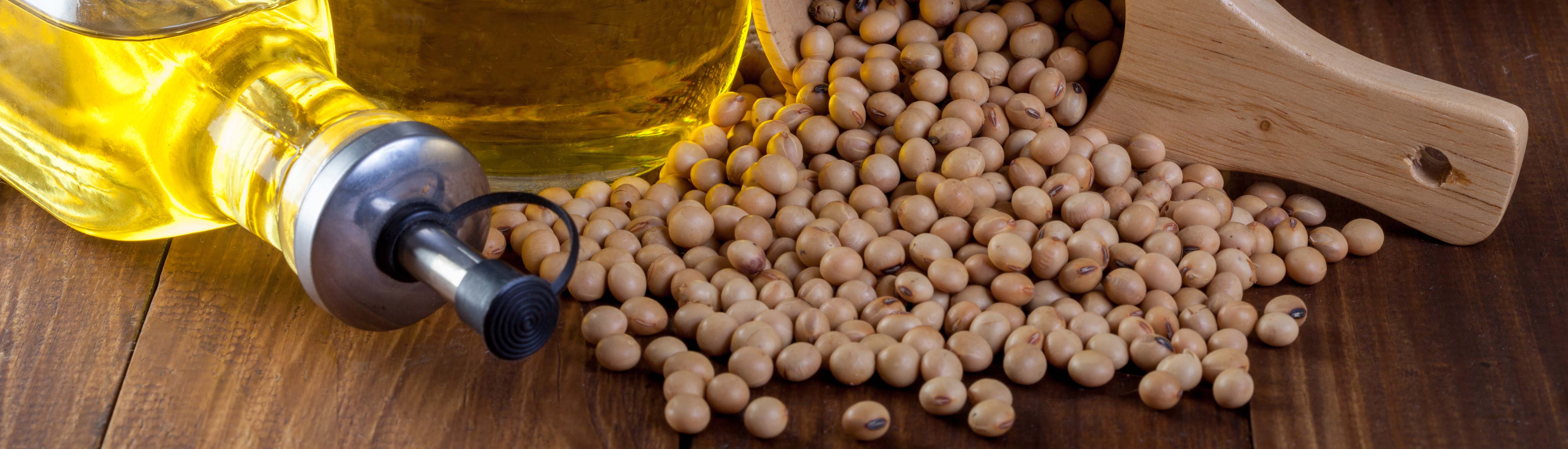 ��ɳ(8087-js��֤)�鳡��-Officialwebsite