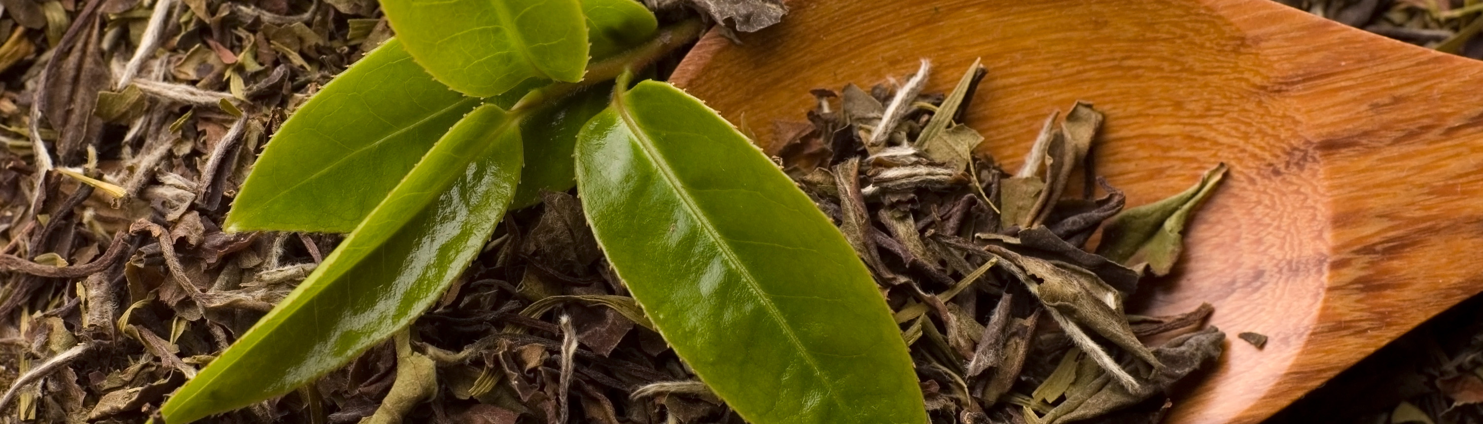 ��ɳ(8087-js��֤)�鳡��-Officialwebsite