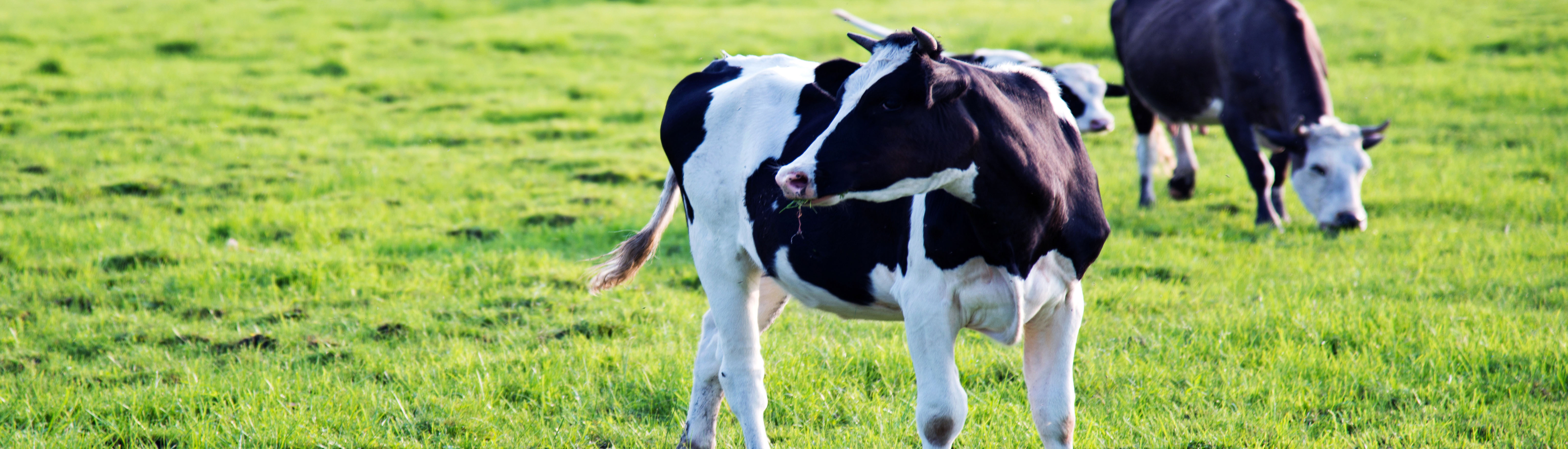 ��ɳ(8087-js��֤)�鳡��-Officialwebsite