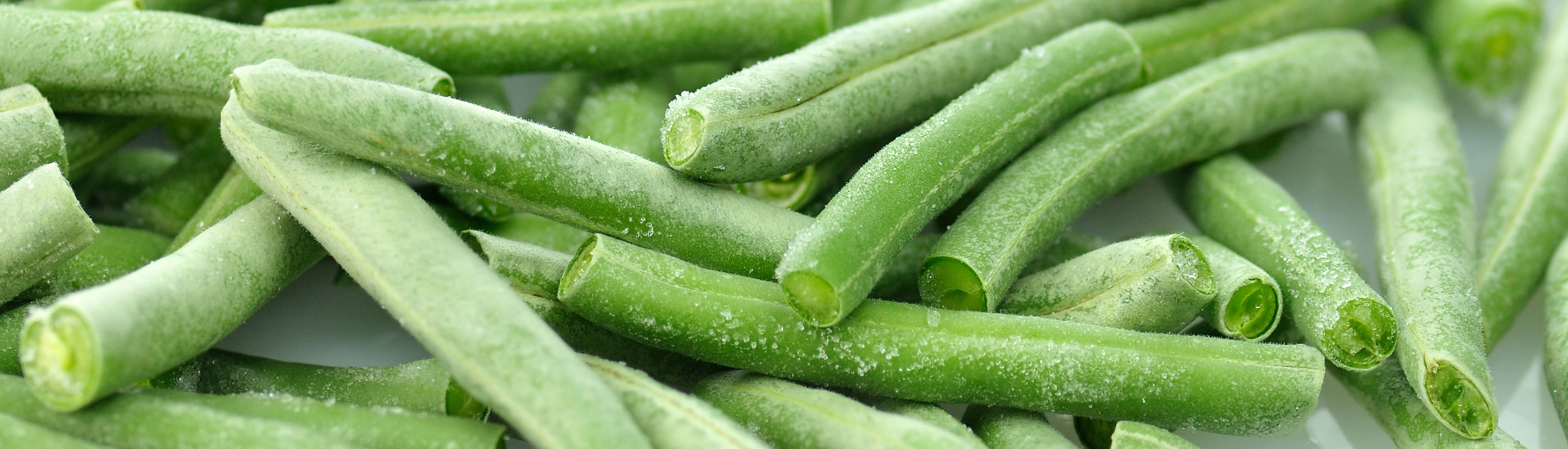 ��ɳ(8087-js��֤)�鳡��-Officialwebsite