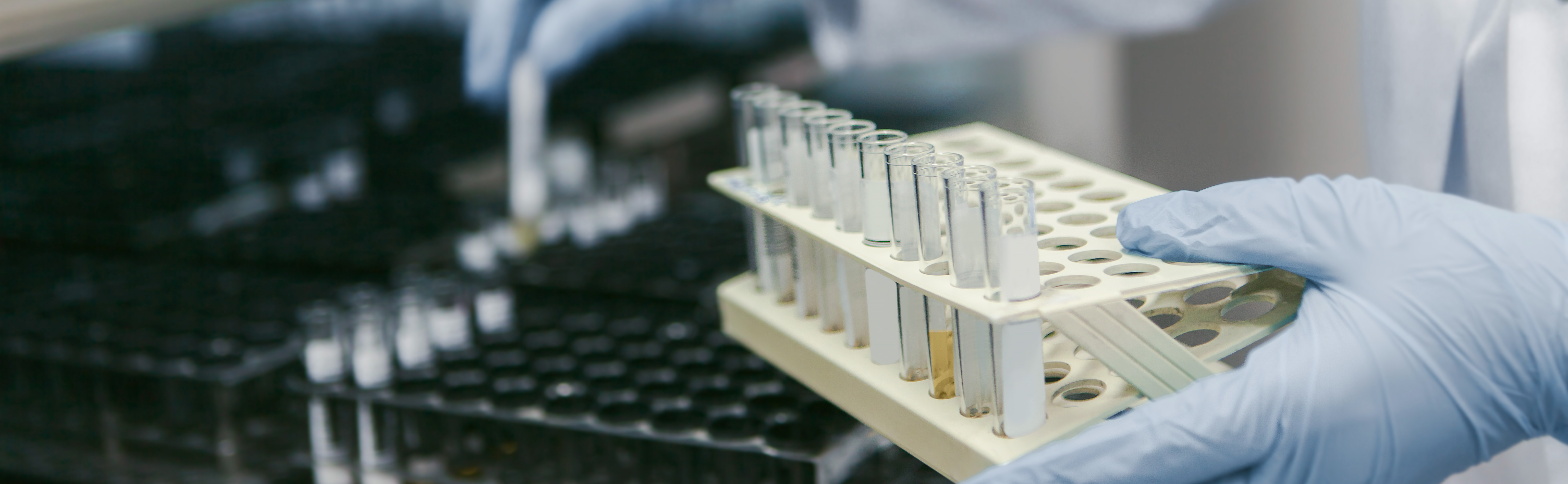 ��ɳ(8087-js��֤)�鳡��-Officialwebsite